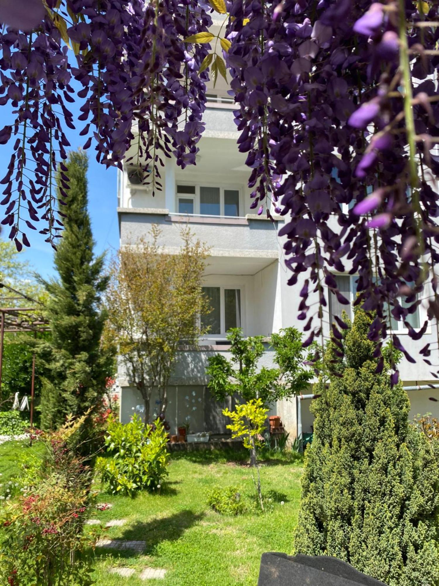 Family Hotel "May" Petrich  Buitenkant foto